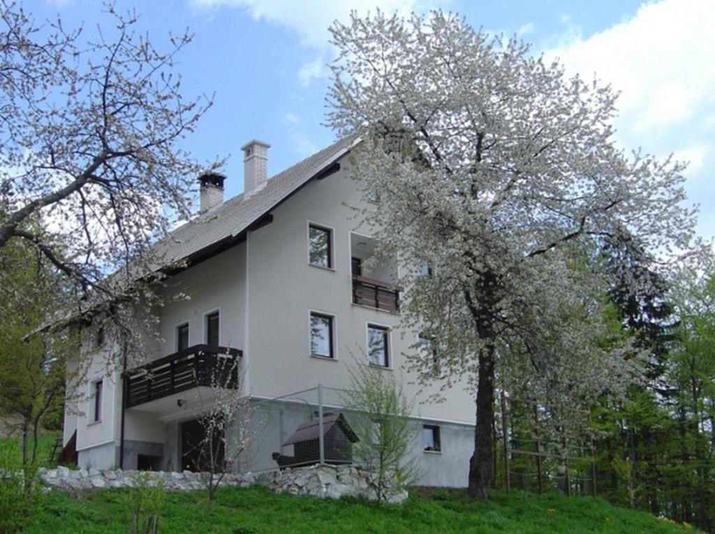 Apartments Pri Marjetki Церкно Екстер'єр фото